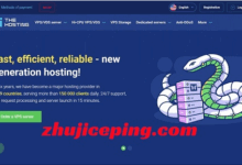 the.hosting预售马来西亚VPS，5.1折优惠，10Gbps带宽/不限流量-主机测评