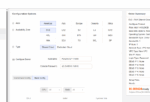 🟩更新版🟩 raksmart美国洛杉矶机房“大陆优化VIP”线路测评-主机测评