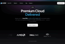 onidel：荷兰/新加坡/澳大利亚/越南VPS，€6/月，8G内存/4核/160gNVMe/10T流量/2.5Tbps防御T-主机测评