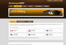 移动VPS推荐，适合移动高防访问的国外VPS-主机测评