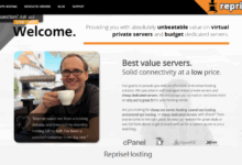 RepriseHosting美国西雅图独服：33.52美元/月，2~253个IP可选，支持支付宝和Paypal-主机测评