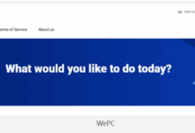 WePC印度尼西亚原生家宽Tiktok专线VPS：19.9澳元/月，支持支付宝/Paypal-主机测评